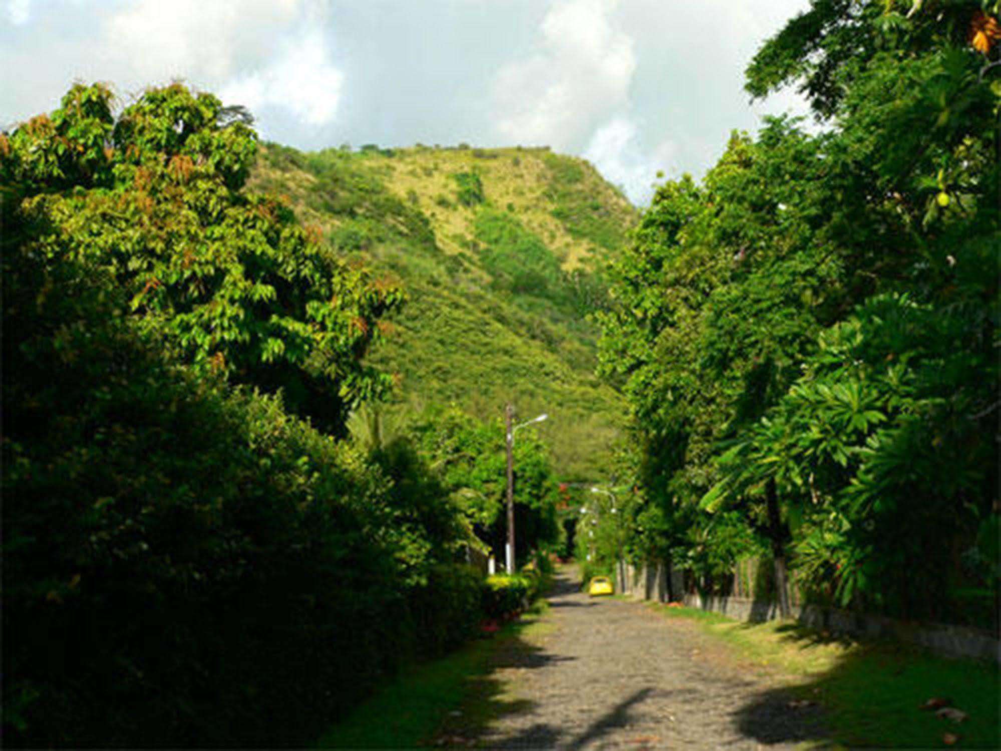 Punaauia  Pension Te Miti - Plage-Beach 200M - Mahana Parc & Vaiava Beach Pk18 - B&B Chambres Ou Dortoir מראה חיצוני תמונה